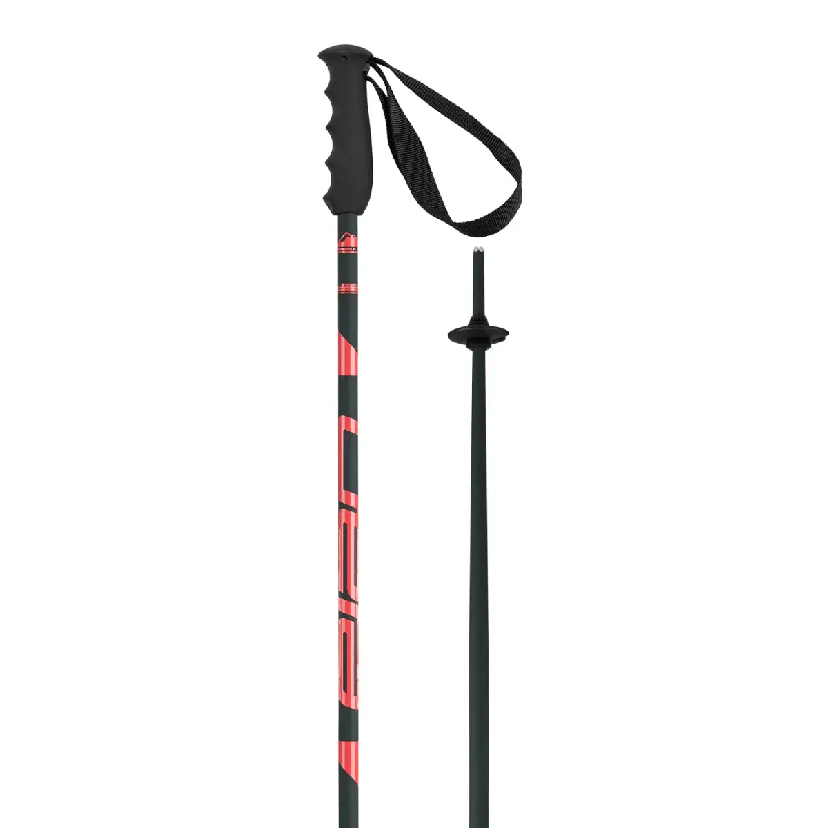 Bâton de ski femme Elan Speed