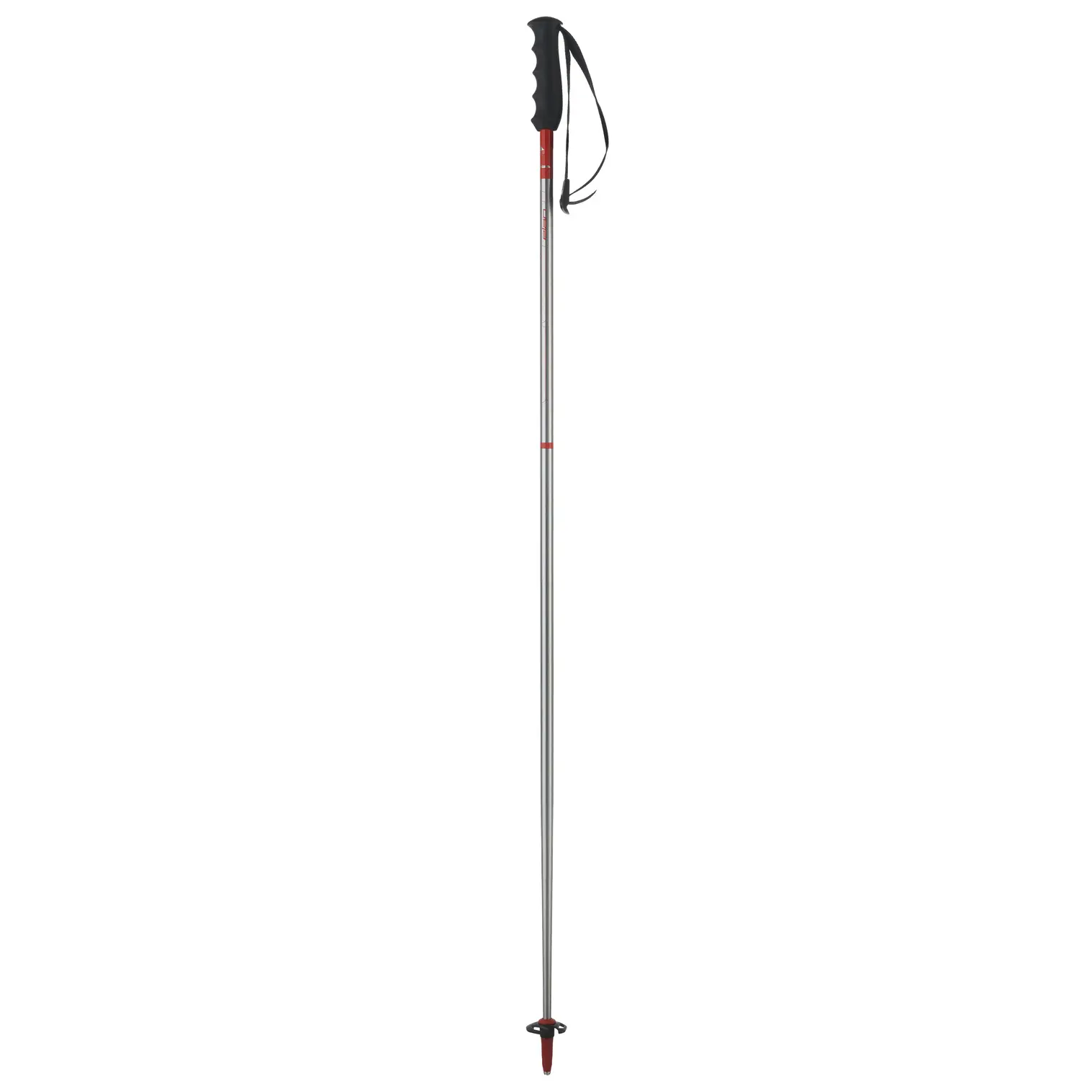 Bâton de ski Elan Rentalrod