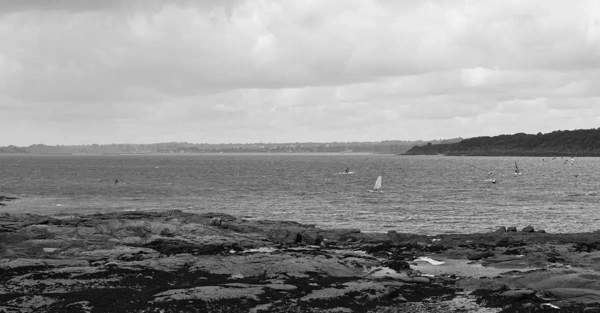 Notre avis sur le retour du windsurf