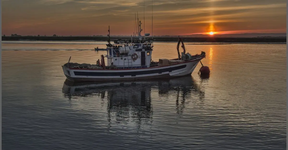 Quelle est la meilleure période pour la pêche en mer?
