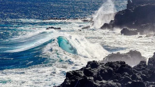 Les indispensables à avoir pour réussir une sortie en mer