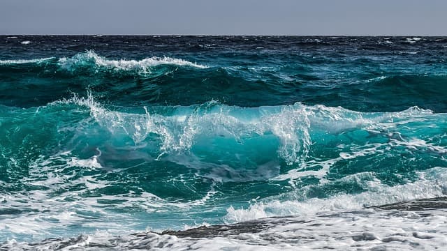 Les indispensables pour réussir votre sortie en mer